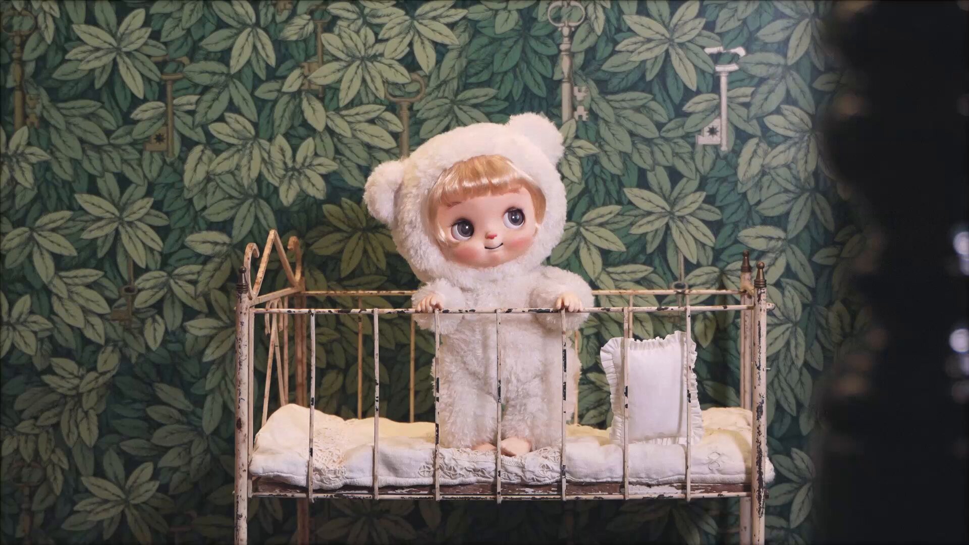 バサカドール クマちゃん 🪐🐻‍❄️パンパンとも〜ちゃん 素敵なお写真