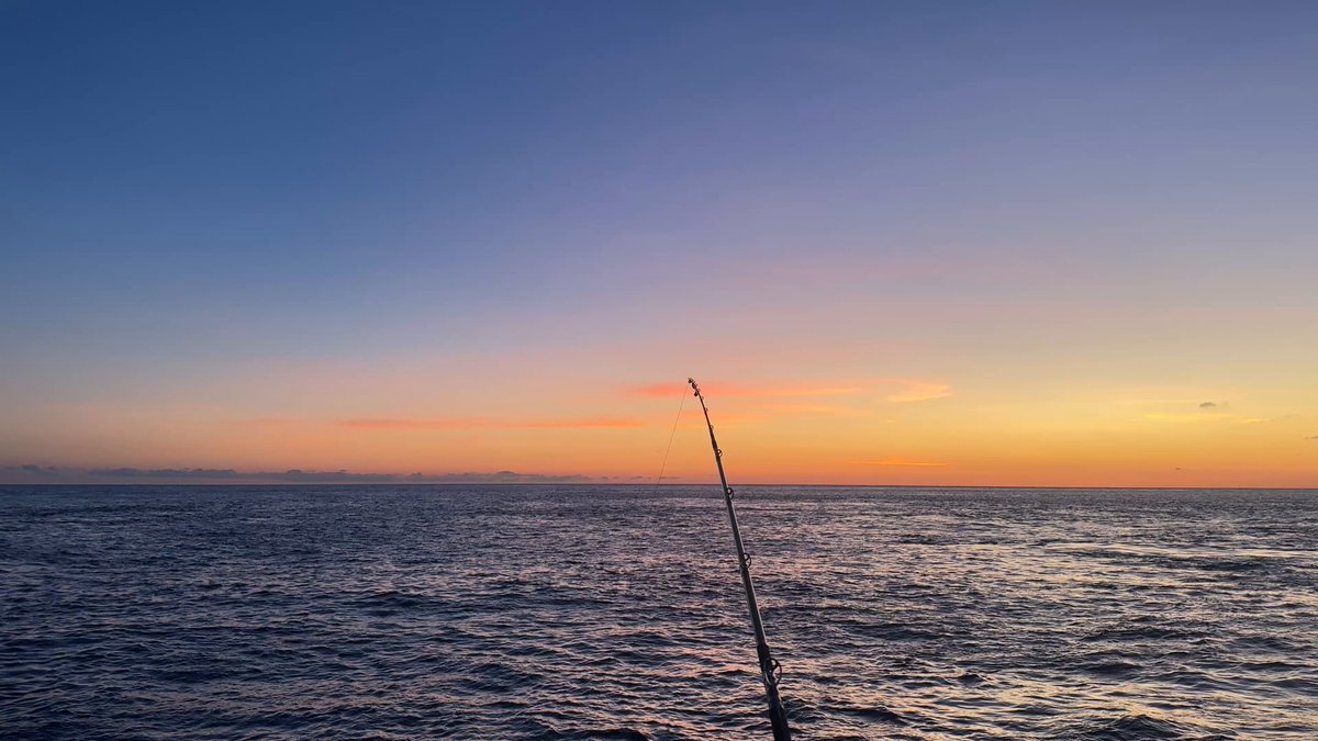 ヨネスケページ ヨネスケ🎣日本一周釣りYouTuber (@Fisher_blog) / X