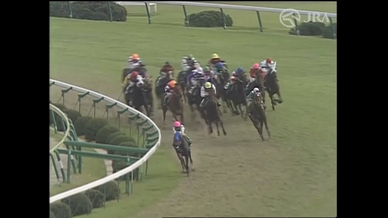 競馬サイン三本の矢 誰も知らない競馬サイン+重賞回数サイン＋時事ニュースサイン 関係者のみが知る 誰も知らない中央地方競馬サイン予想法本の