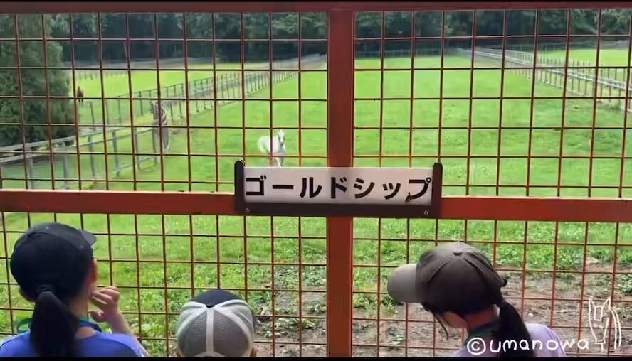 うま好きキッズにファンサたっぷりに接し「宝塚記念」に反応する