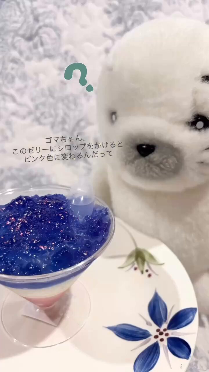 ♡ゴマちゃん達の寒中お見舞いに駆けつけたうさぎ＆とり