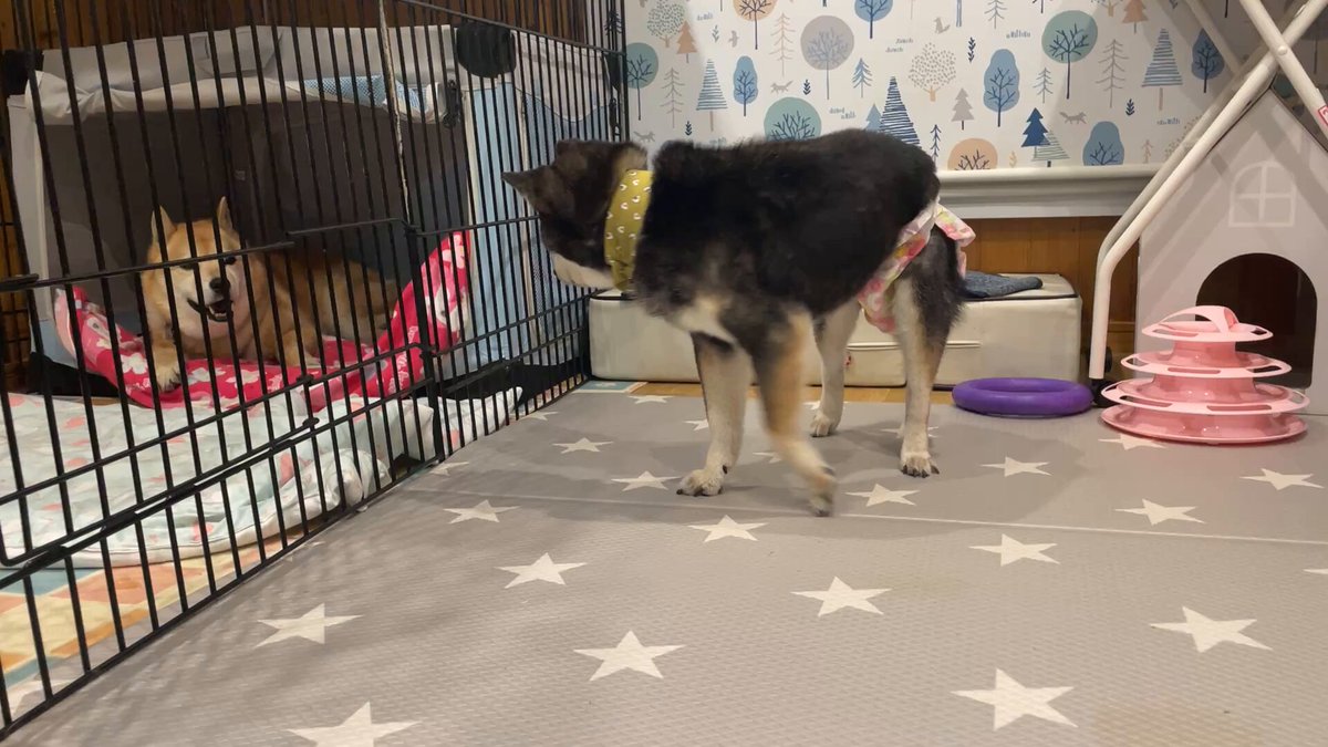 あんなにグルグル回ることしかできなかったのに、周りをなんとなく確認