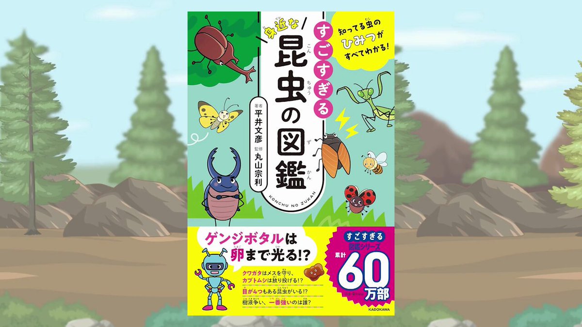 【中古】 紀州雑賀衆鈴木一族/新人物往来社/鈴木真哉 紀州雑賀衆鈴木一族(鈴木真哉 著) / 光国家書店 / 古本、中古本