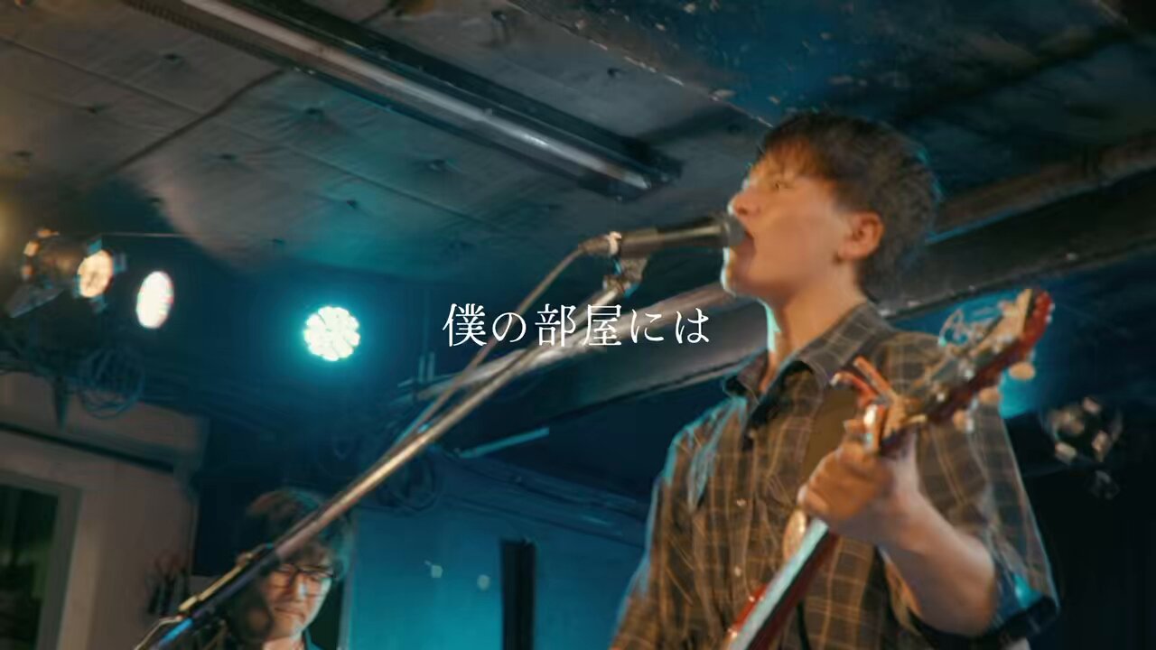t.79.mam.28　プロフィールを　 大きいサイズ レディース ゼブラ柄タートルドルマンニット bro