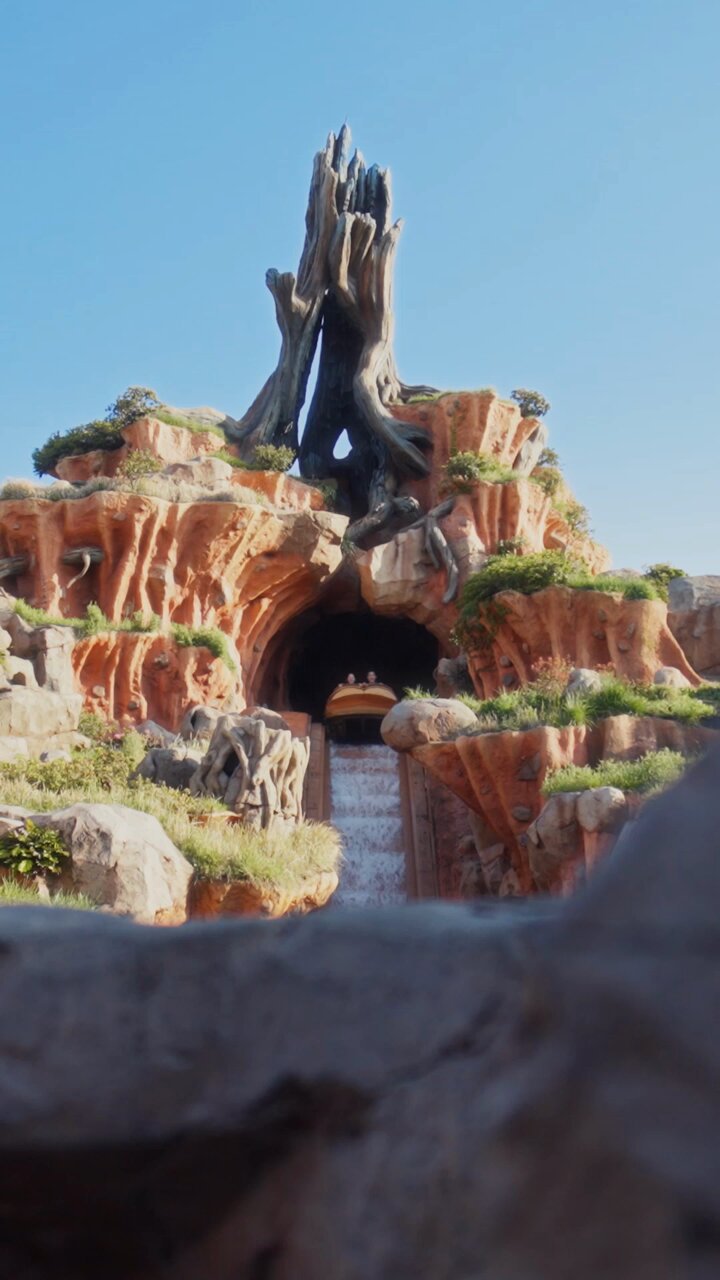 東京ディズニーリゾートPR【公式】 (@TDR_PR) / X