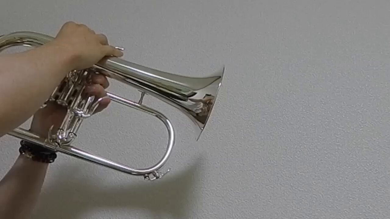 Brass Gear  Mute トランペットミュート Amazon | トランペット ミュート 練習用 消音 「Brass Gear
