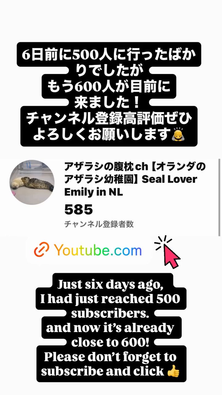 Emily in NL🇳🇱 on X: 