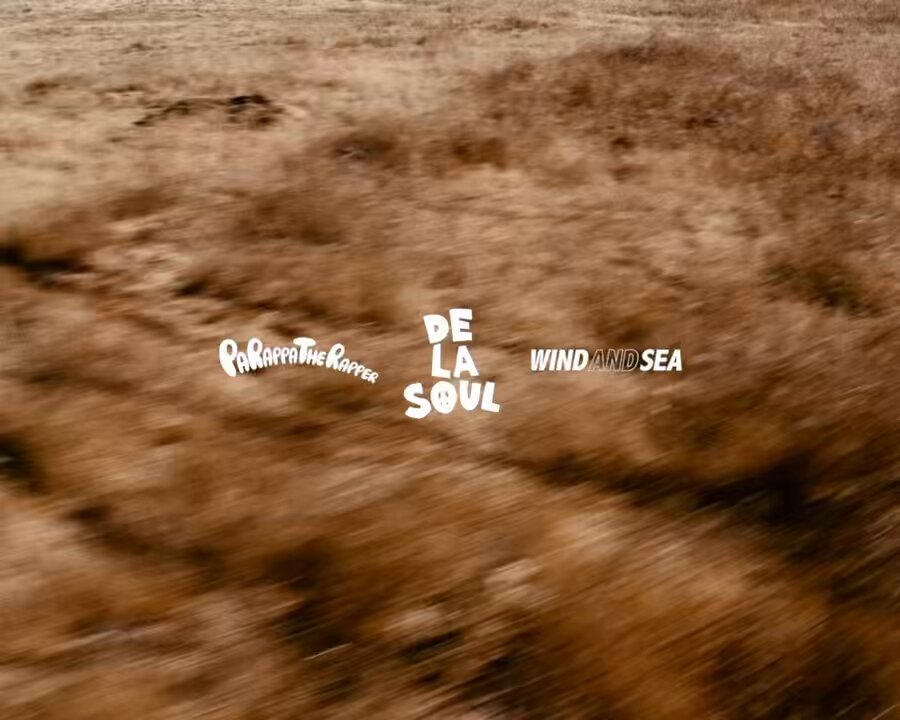 WIND AND SEA トートバッグ PARAPPA x DE LA SOUL PARAPPA x DE LA SOUL x WDS TOTE BAG – WIND AND SEA