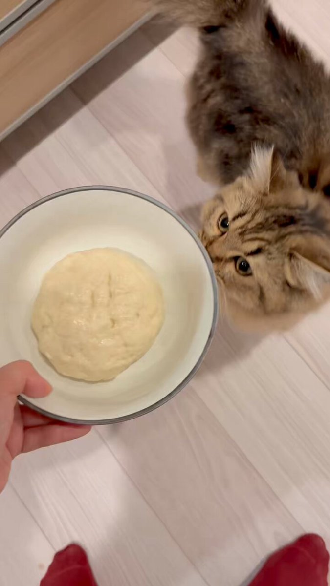 米粉パン作った🍞ウマー