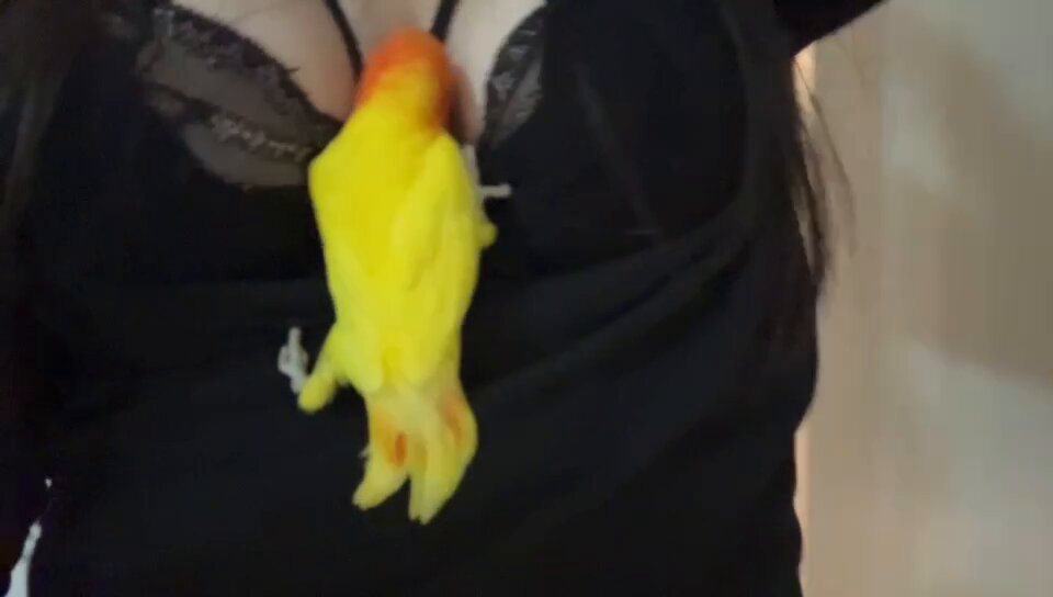 媒体预览