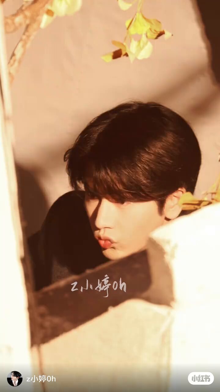 VUONG SY DUYページ Zhang Linghe 张凌赫 Archive on X: 