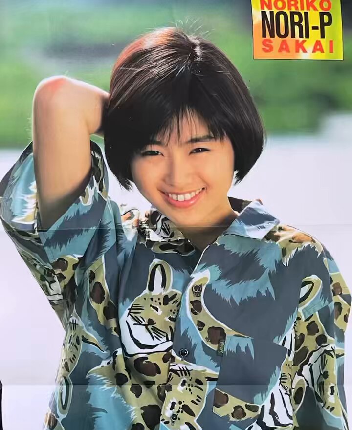酒井法子 活躍少女 YUPPIE 2 VHD 酒井法子 ヤッピー2 活躍少女 YUPPIE 2 アイドル ビデオ