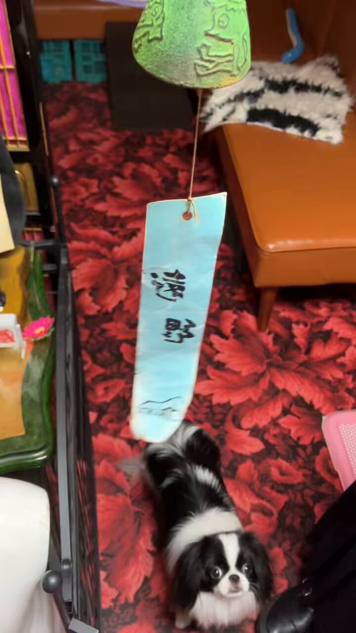 未使用品　南部照光堂名人心斎造　０.８型算盤アラレ　⭐︎きのぴ⭐︎様　売約済み 未使用品、タグ付 南部照光堂 心斎作 18型アラレ 南部鉄瓶