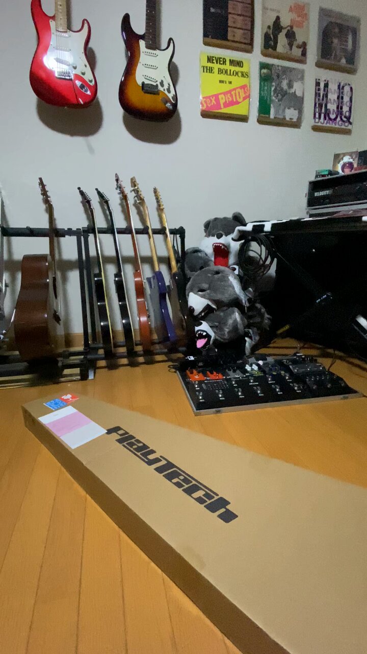 PLAYTECH ( プレイテック ) JM250 ジャズマスタータイプ 本体 PLAYTECH ( プレイテック ) JM250 ジャズマスタータイプ 本体