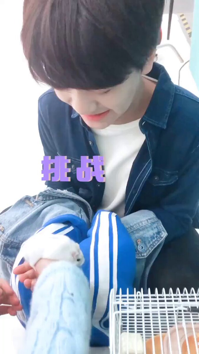 こやびんページです♡ Vi 𐙚✦ (inactive until b2p) (@viiyckzz) / X