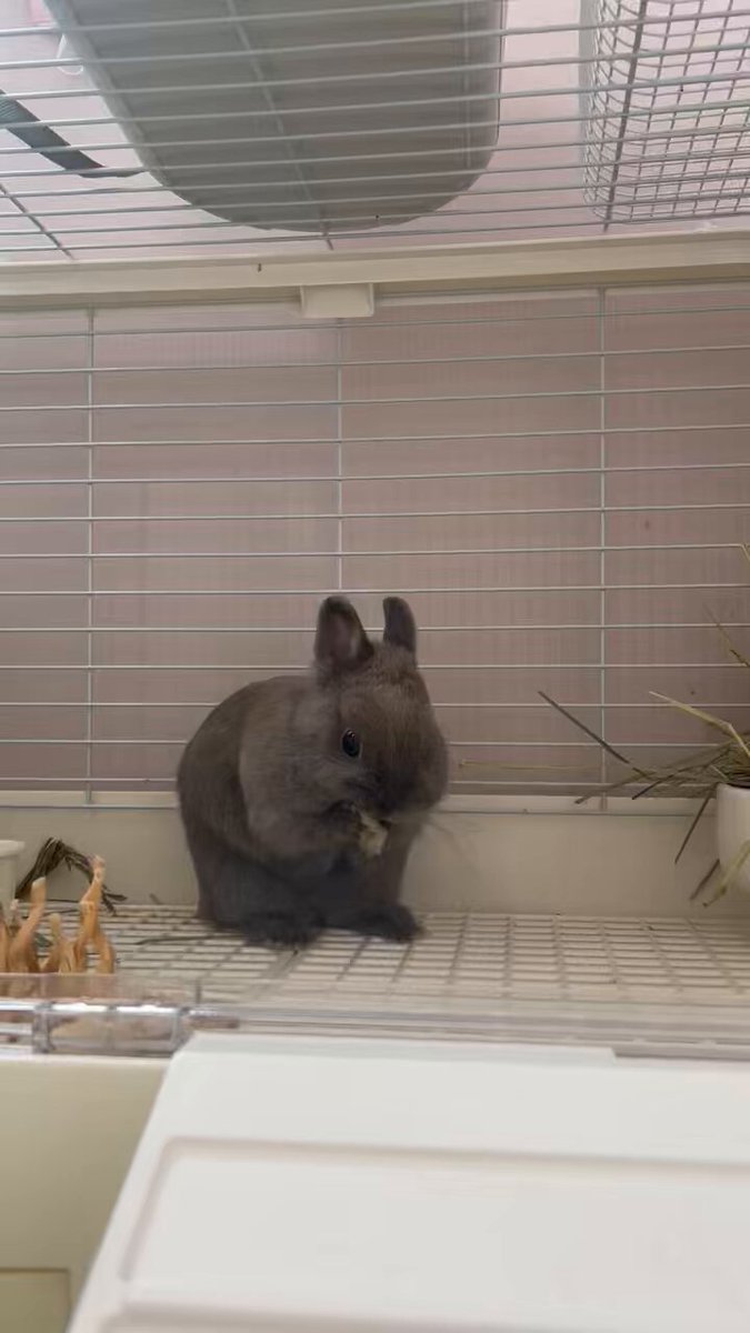 みっちゃん．さま確認ページ♡ みっちゃん．さま確認ページ♡