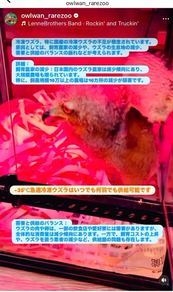 わんわん様の専用ページ 桜依ひなた🧸通販𝗼𝗽𝗲𝗻 (@173blue) / X