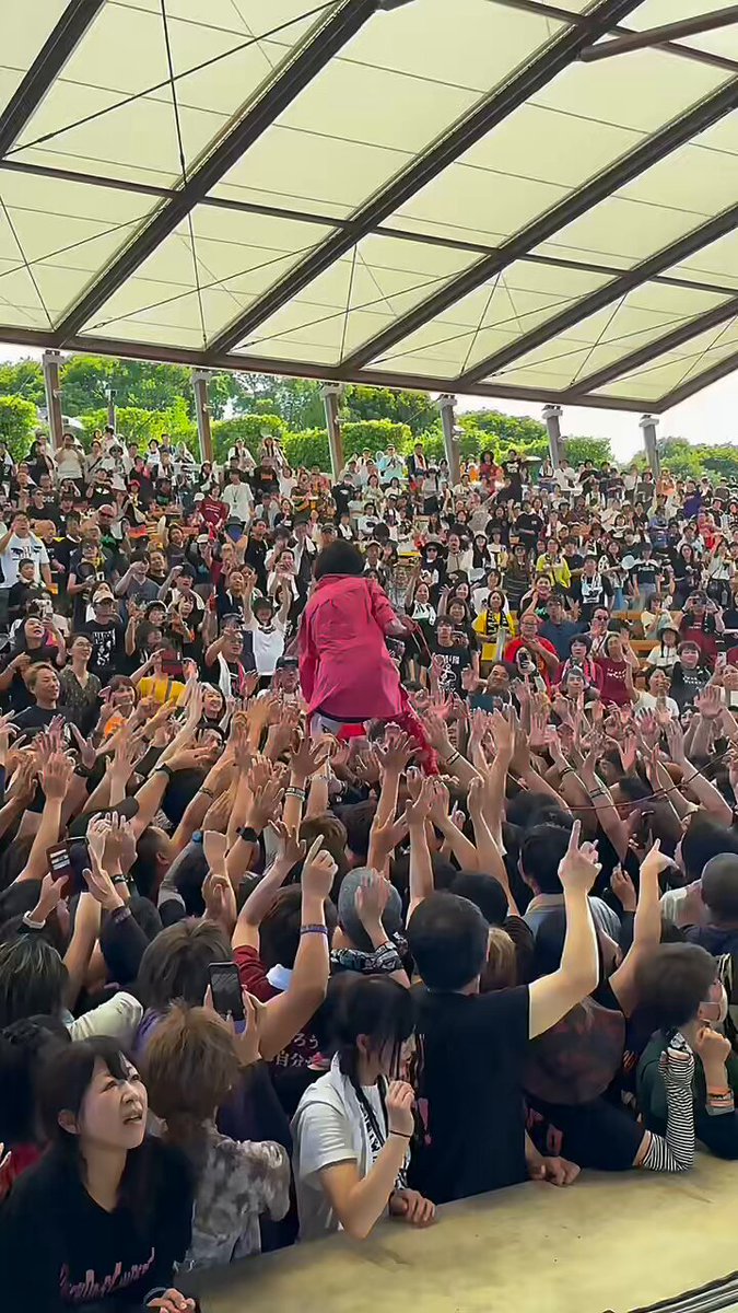 バックドロップシンデレラ LIVE DVD 4枚組セット 1