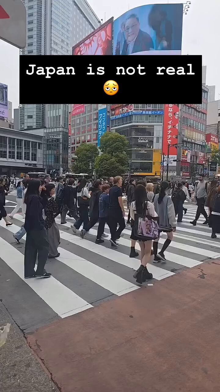 たんたんさん。ご確認お願いします まる🐼🍀📸 on X: 