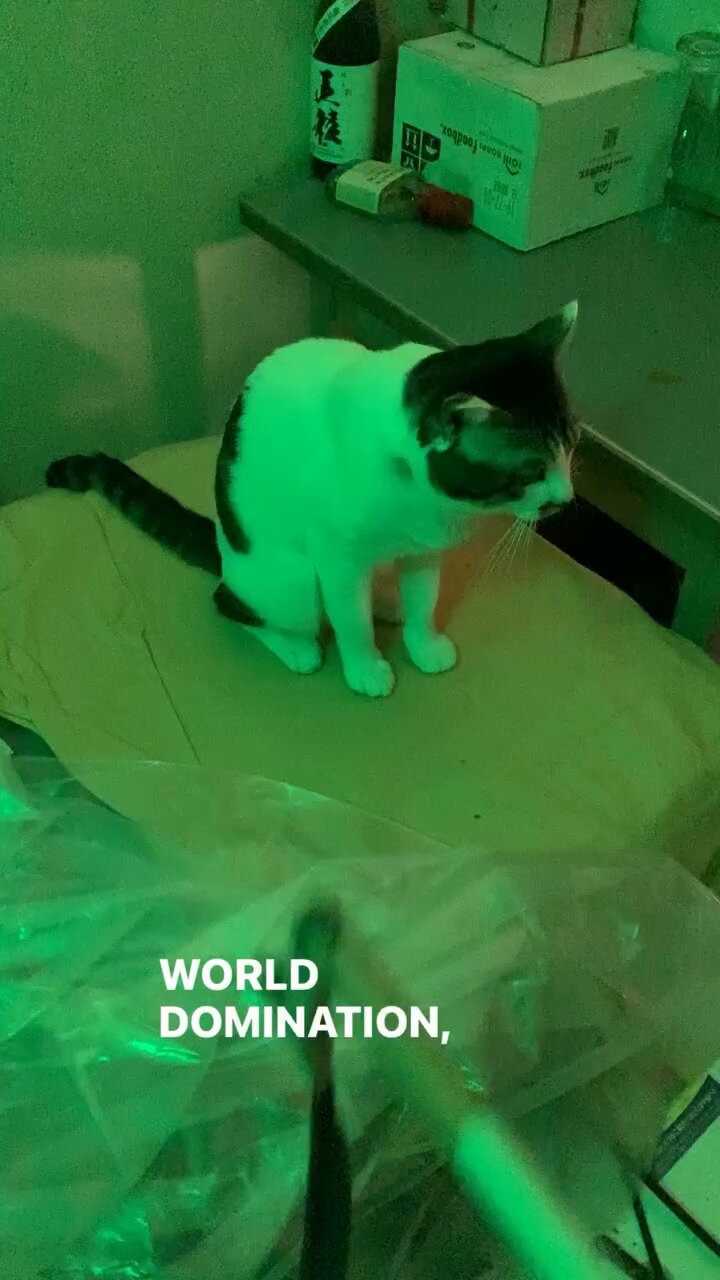 猫59 - Search / X