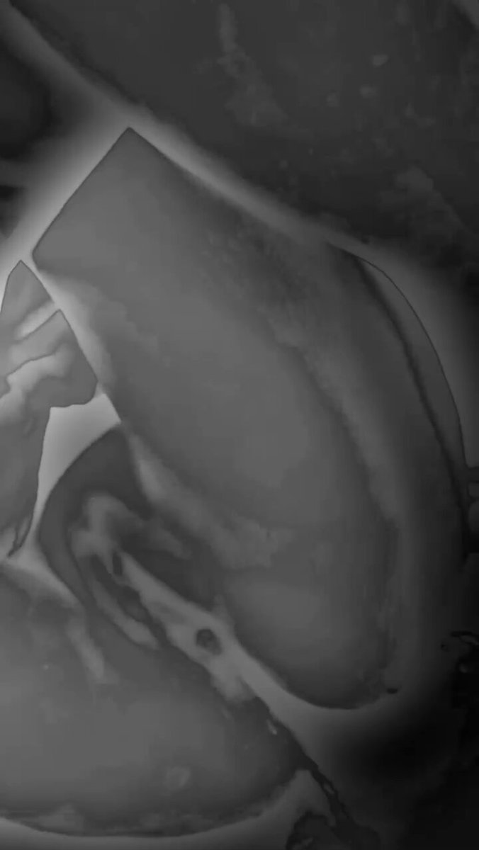 Video by @misaki__water