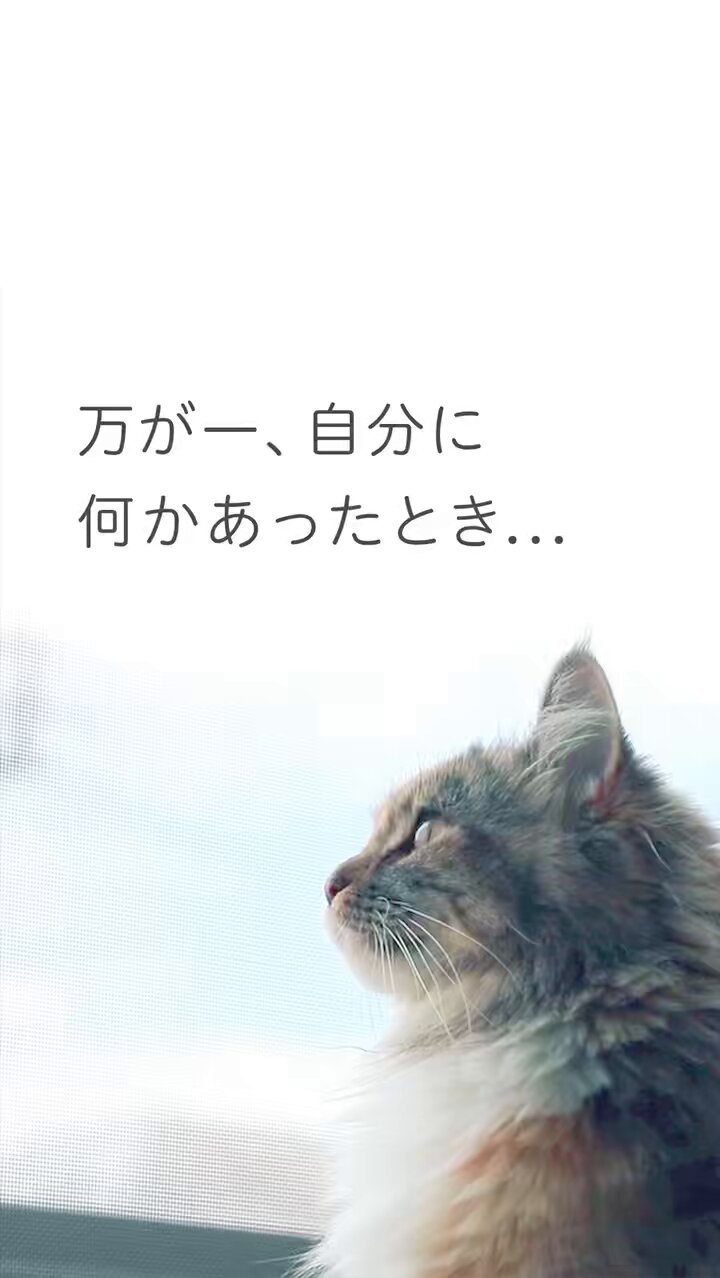 琉七 – търсене / X