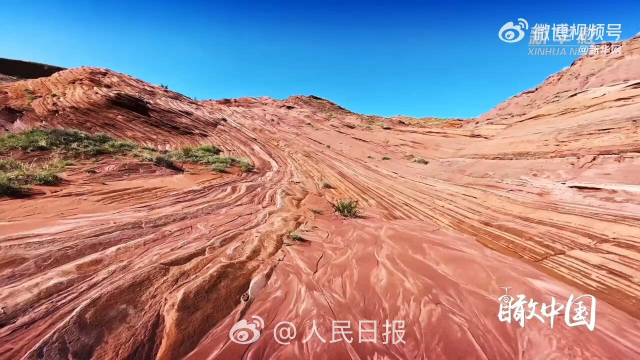 ドローン - Search / X