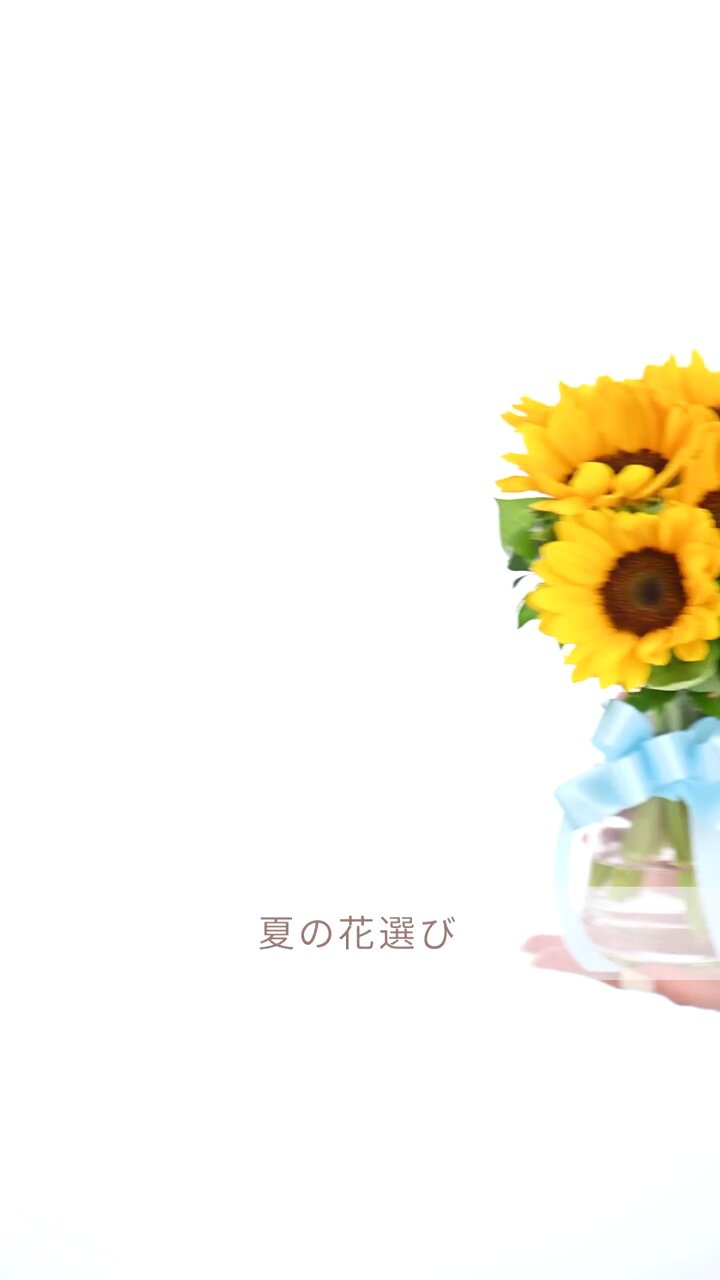 ひまわりページ mqdefault.jpg