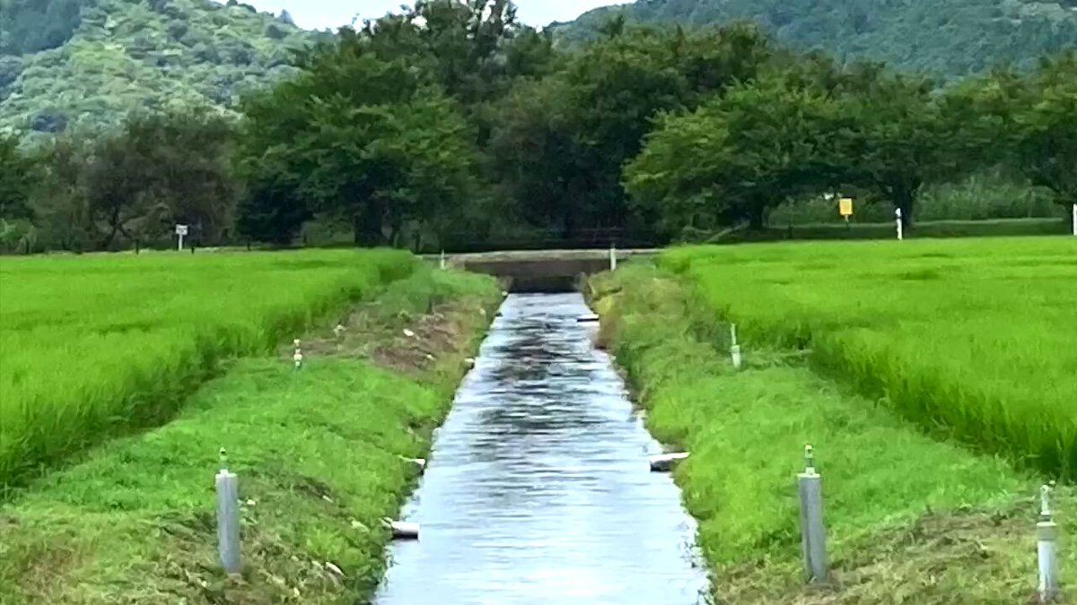 お出かけは田んぼ Instagram video by やまのふもと • May 4, 2025 at 12:00 AM