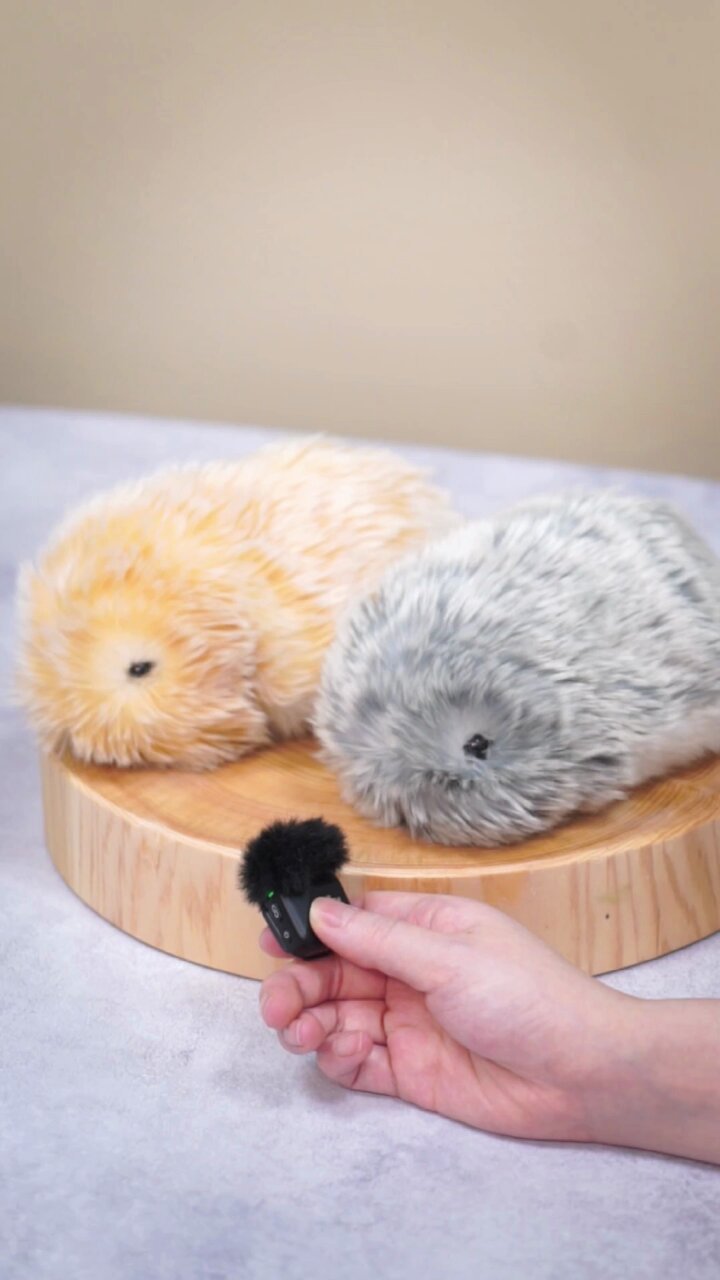 Modeling(モフリン) Modeling(モフリン)