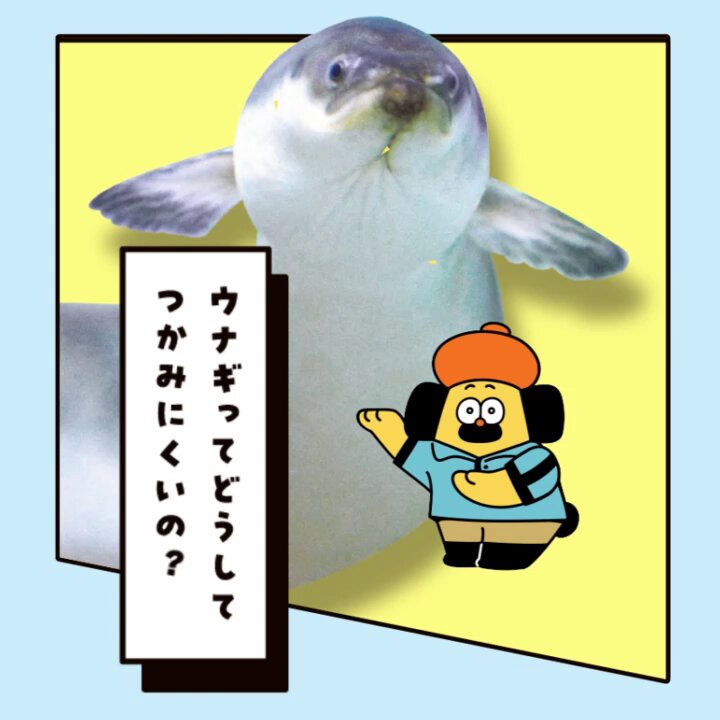 おひげのポン ねずみさん おひげのポン 公式サイト