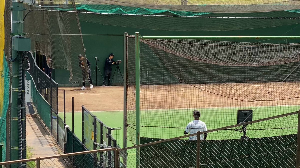 野球バカ ゼット 交換無料 野球 スパイク ポイント ジュニア 白 黒