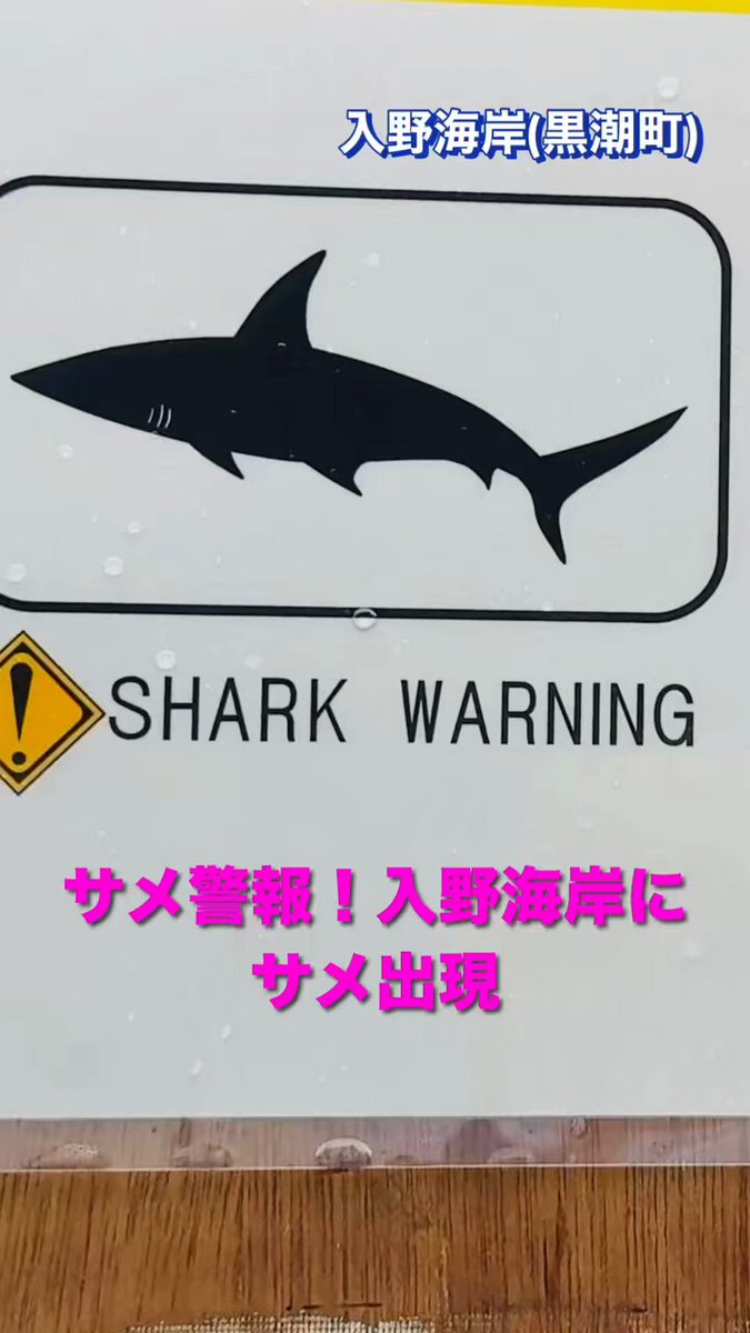 みみ1224 サメ　オーダー　お見積もり みみ1224様専用 サメ オーダー お見積もり
