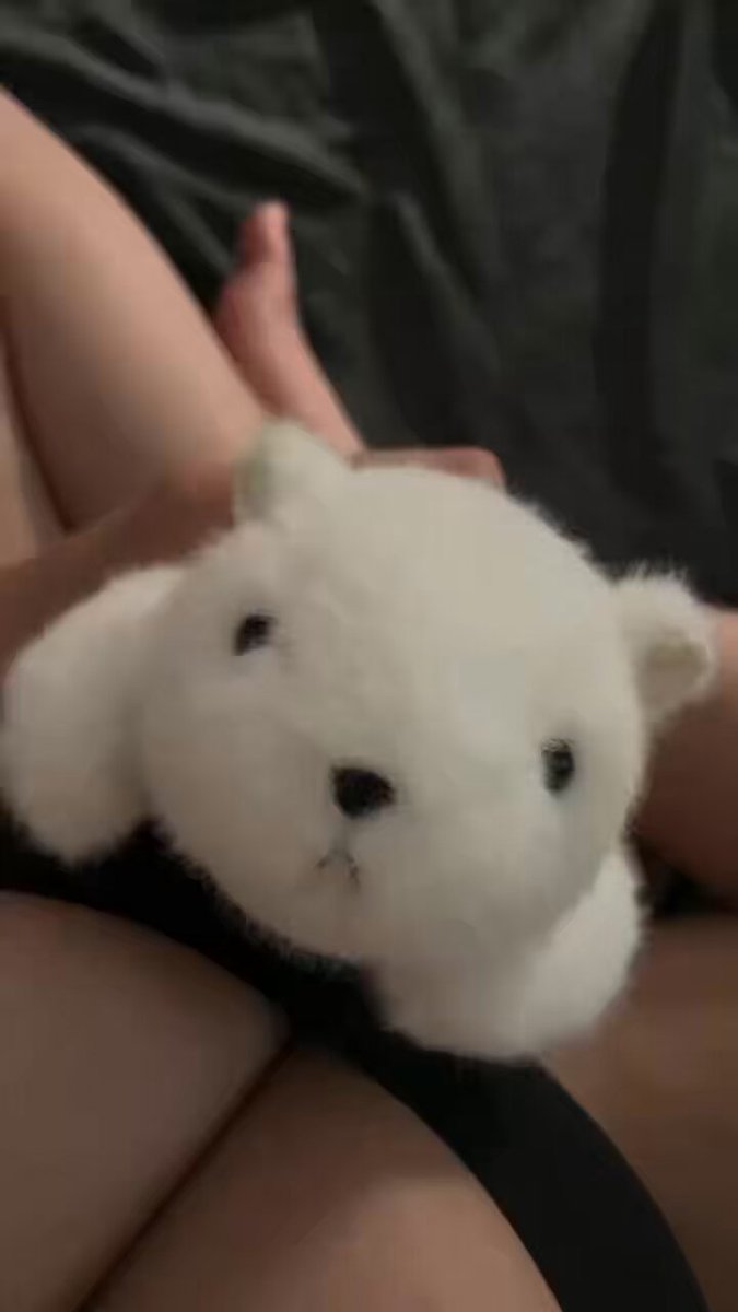 媒体预览