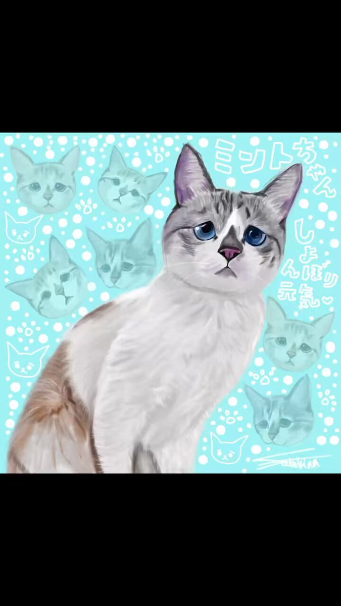 ❤ねこページ❤ BETTY❤️LOVE on X: 