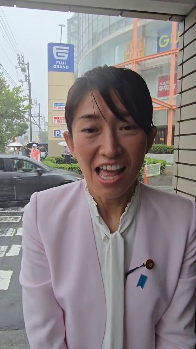 森下千里　衆議院議員　抱き枕　正規品　未使用 森下千里 衆議院議員 抱き枕 正規品 未使用 森下千里 衆議院議員