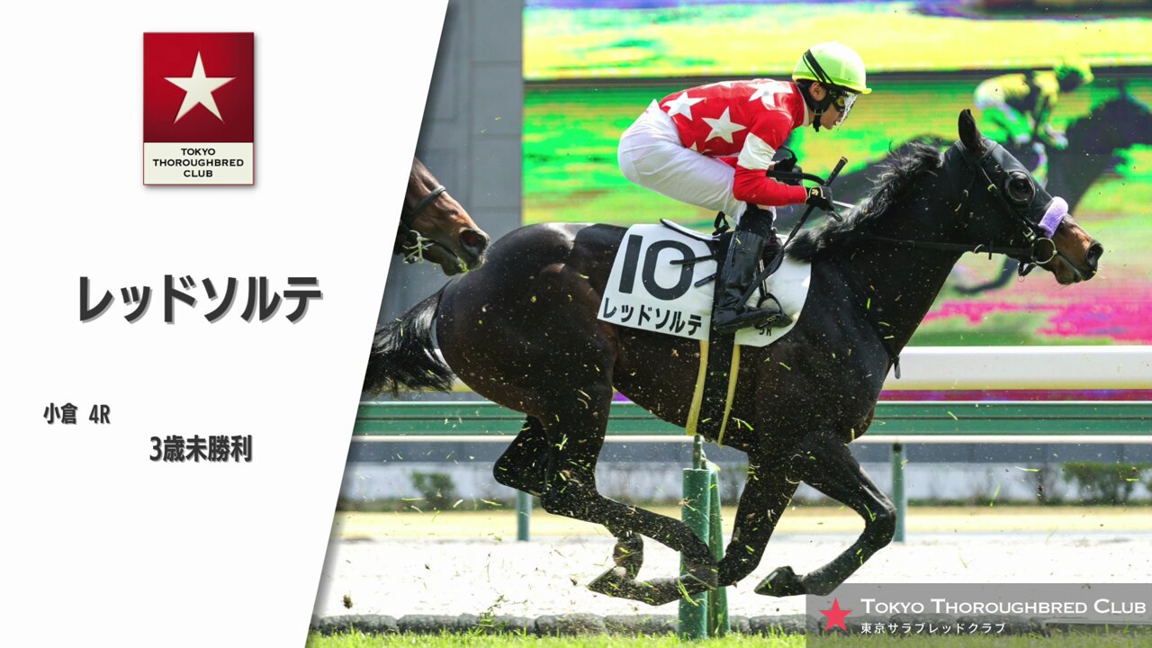 競走馬　THE VICTORY PLATINUM サラブレッド　未開封 mqdefault.jpg