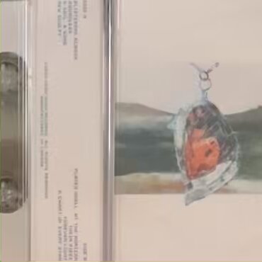 tobira records on X: 