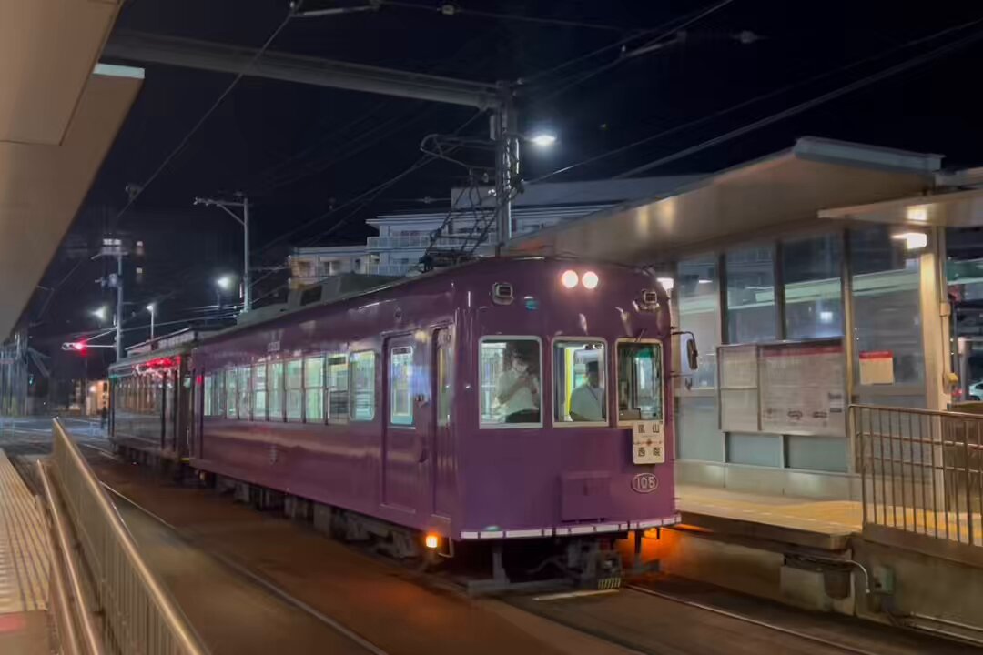 【匿名配送】③アガべ　太陽神錦　白中斑　TC 錦鯉販売 錦鯉通販 錦鯉ネット販売 野池揚がり！ 銀白 42cm BNY
