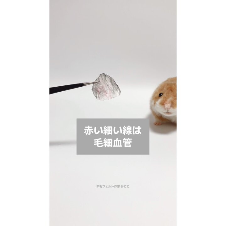 みつき ハムスター 羊毛フェルト みつき ハムスター 羊毛フェルト しがみつきっ!ハムスター 羊毛