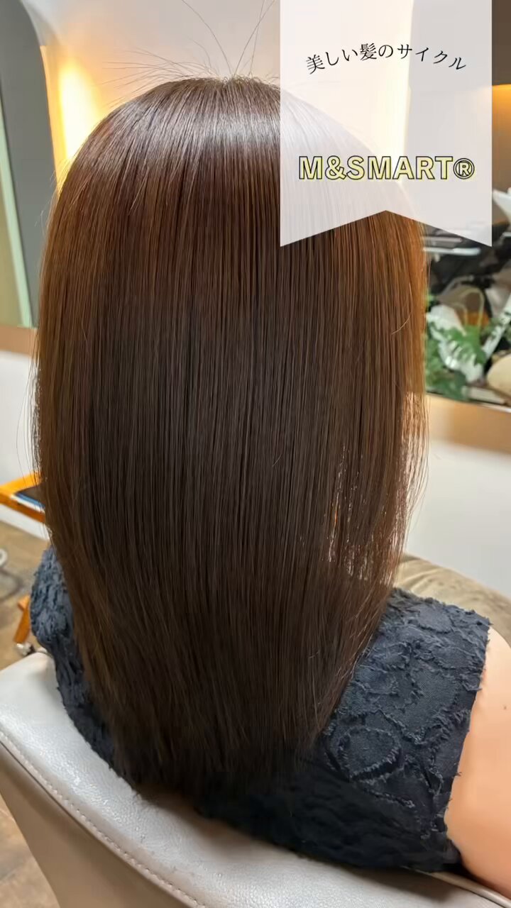 河野様 1cmゆうパケット10枚までOK】宮沢賢治幻燈館きらぴかポスト