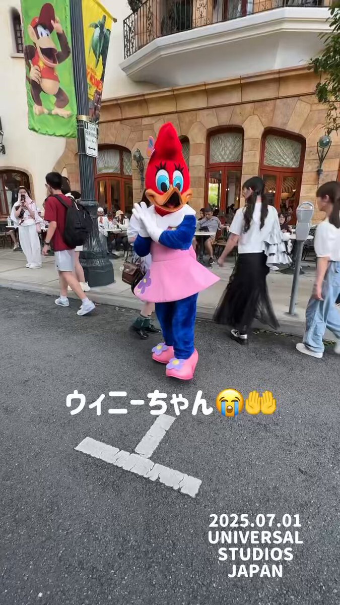 USJ - ミーちゃんページ みぃ🦭⌇ USJファン 🎀🪽 on X: 