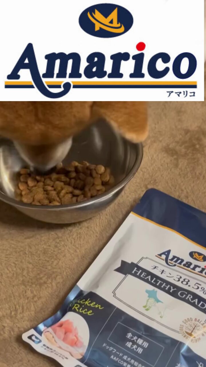 ドッグフード Maico ペットフードを紹介＠Amarico（アマリコ） (@amarico_petfood) / X