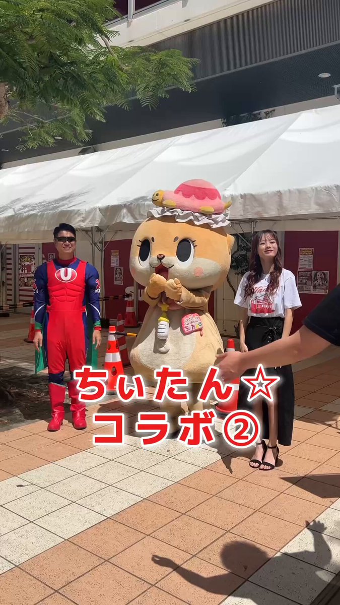 プロフ必見‼︎ちーたん☆★様 ちぃたん☆／Chiitan (@chiitan7407) / X