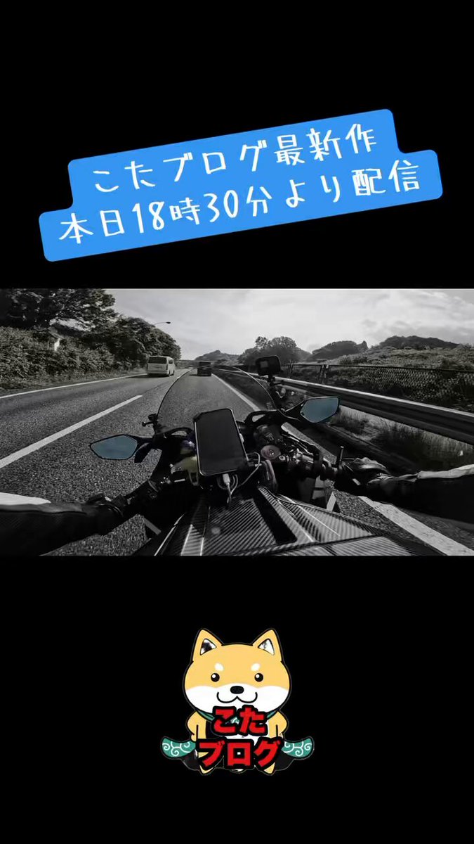 mimi( ◔︎㉦◔︎ ) (@mimi_mimi250) / X