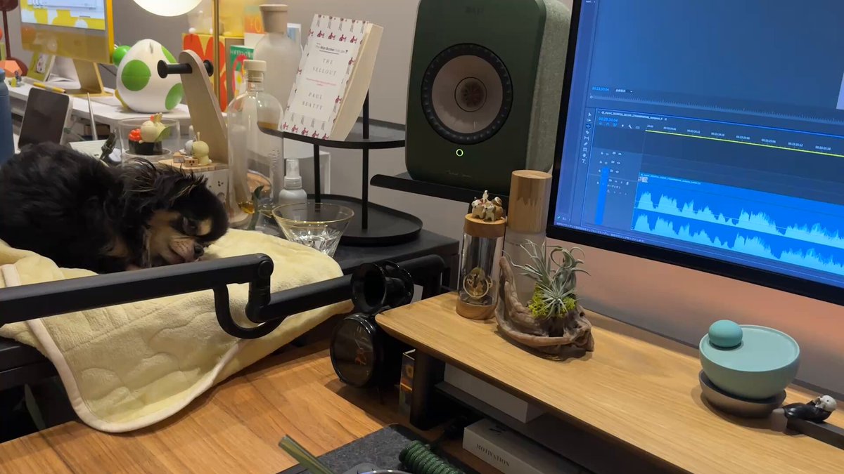 たつみんページ たつみん「ストレスポイ捨て起業術」著者｜自動化のプロ