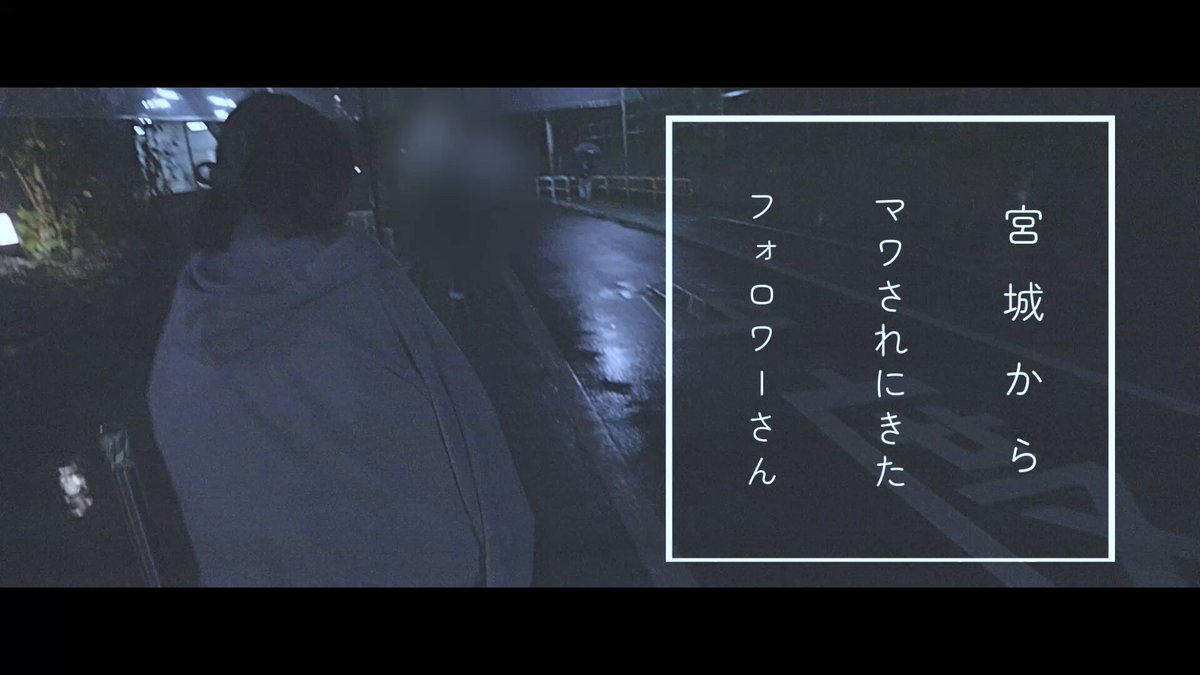 Video by @beast_gentle_03