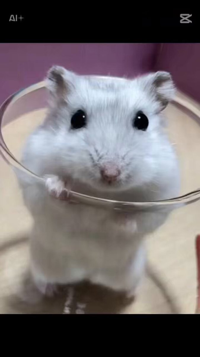 トロ (@toro303606) / X