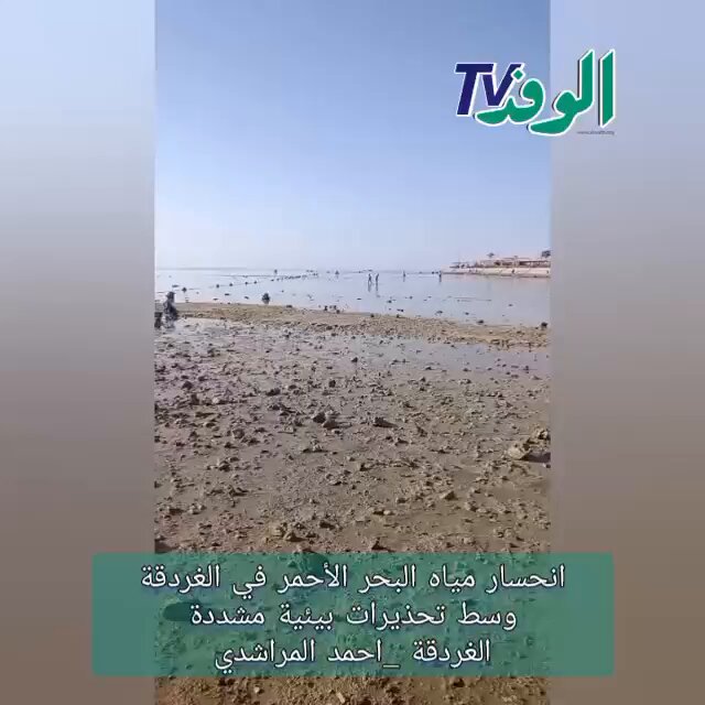 بوابة الوفد| انحسار مياه البحر الأحمر في الغردقة وسط تحذيرات بيئية مشددة 