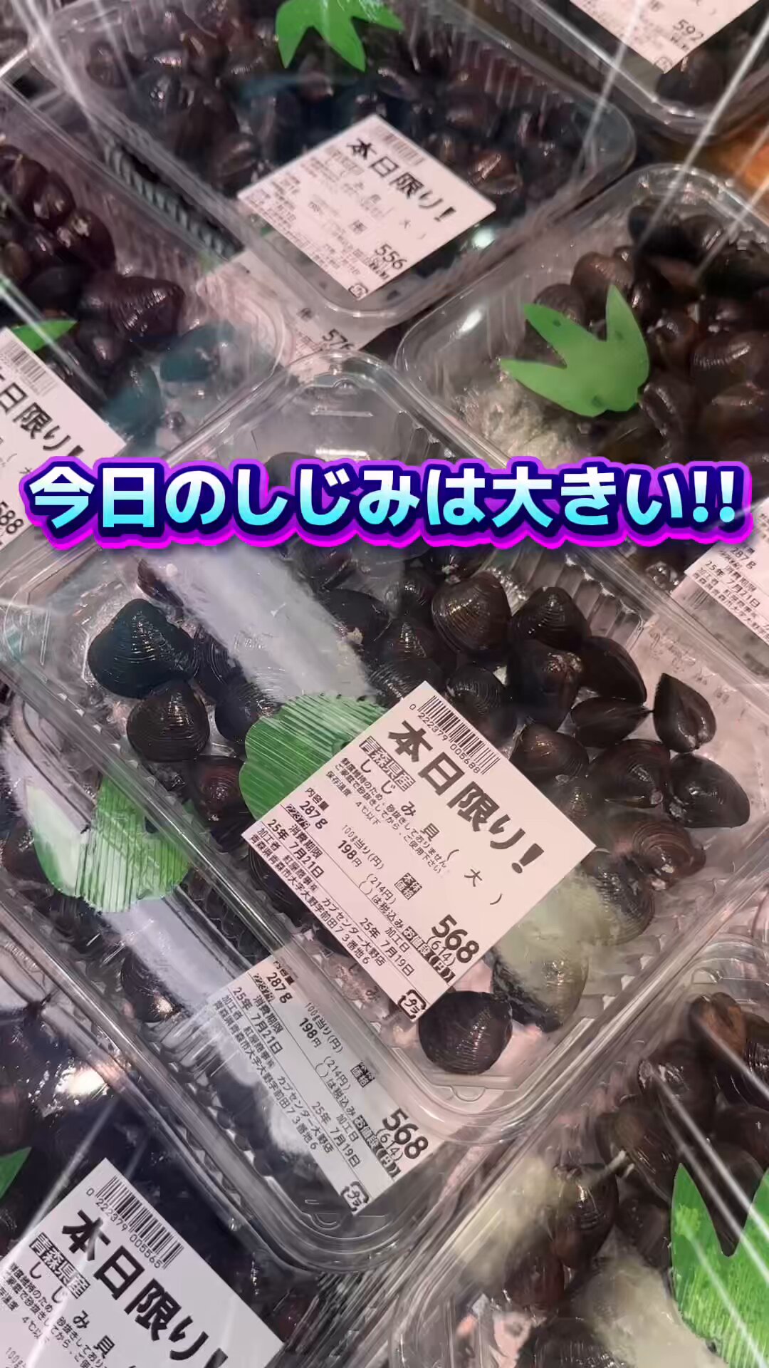 土用のしじみ - Search / X